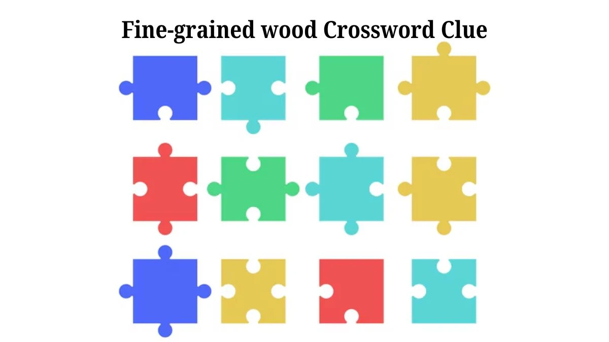 Fine-grained wood NYT Crossword Clue Answer on July 25, 2024