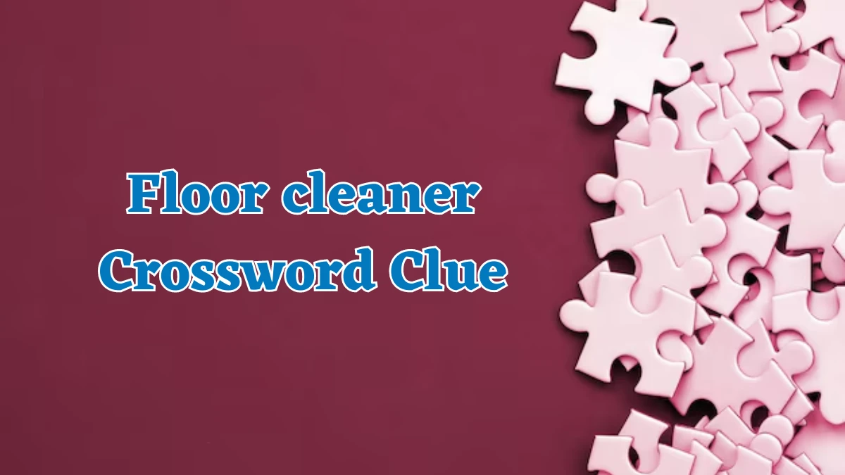 Floor cleaner Daily Themed Crossword Clue Puzzle Answer from July 31, 2024