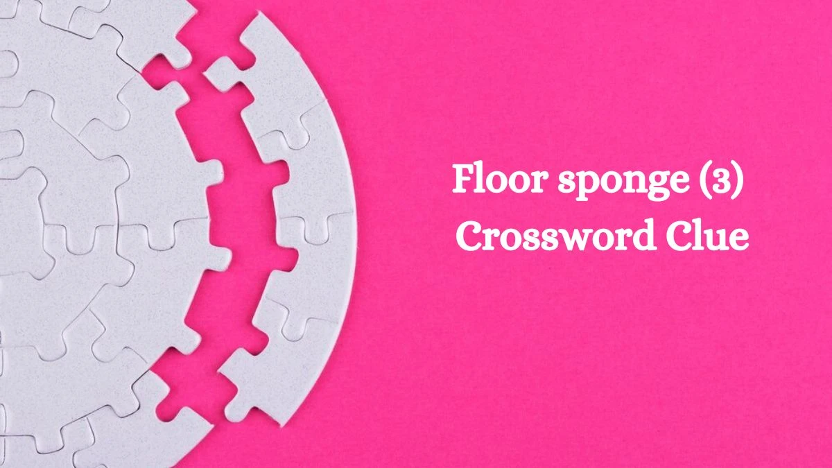 Floor sponge (3) Crossword Clue Puzzle Answer from July 31, 2024