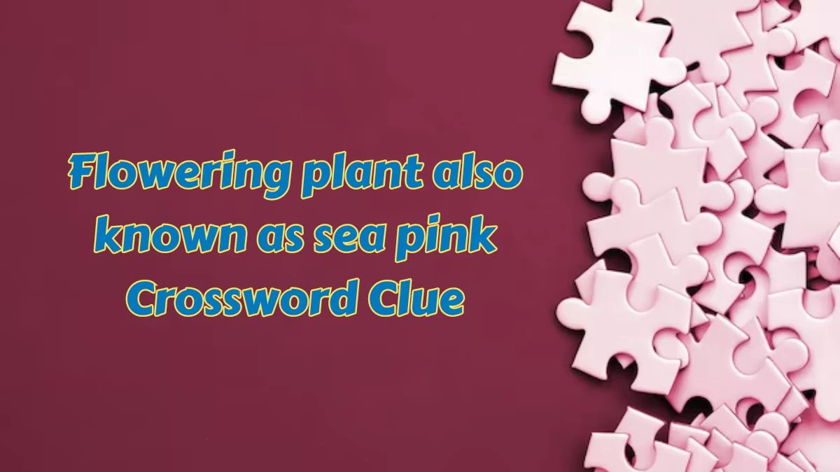 Flowering plant also known as sea pink Crossword Clue Puzzle Answer from July 15, 2024