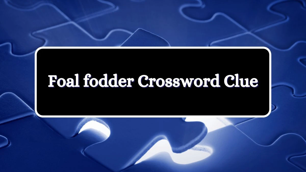 Foal fodder NYT Crossword Clue Puzzle Answer from July 03, 2024