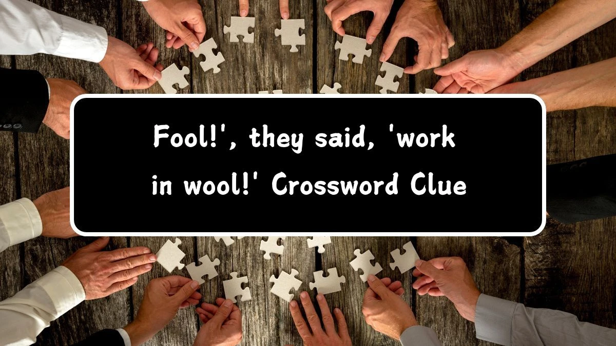 Fool!', they said, 'work in wool!' Crossword Clue Puzzle Answer from July 19, 2024