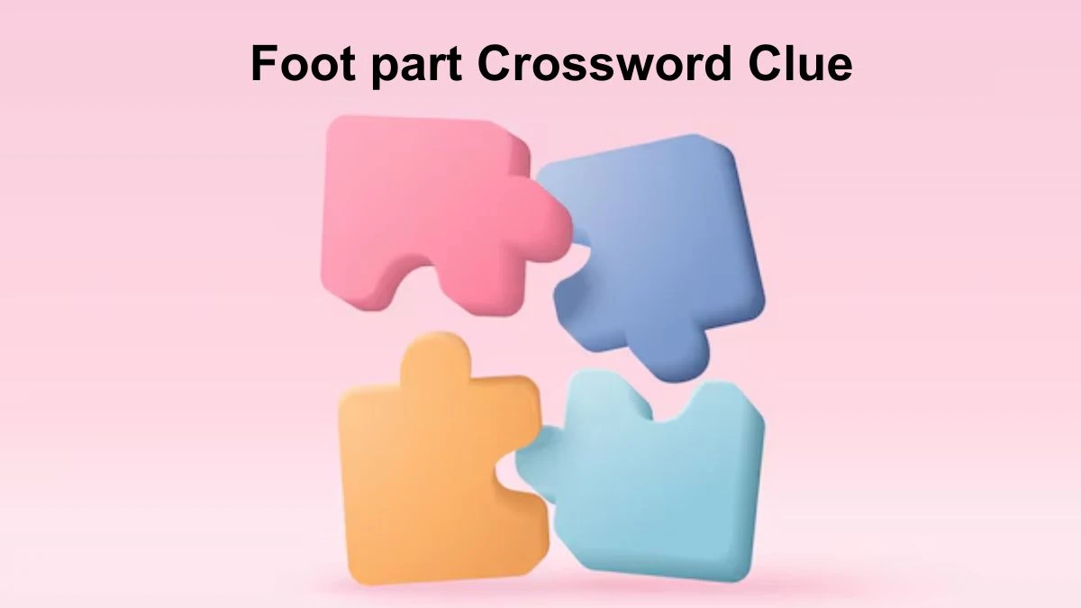 Foot part Crossword Clue Puzzle Answer from July 29, 2024