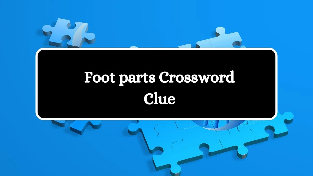 Foot parts Crossword Clue Daily Commuter Puzzle Answer from July 24, 2024