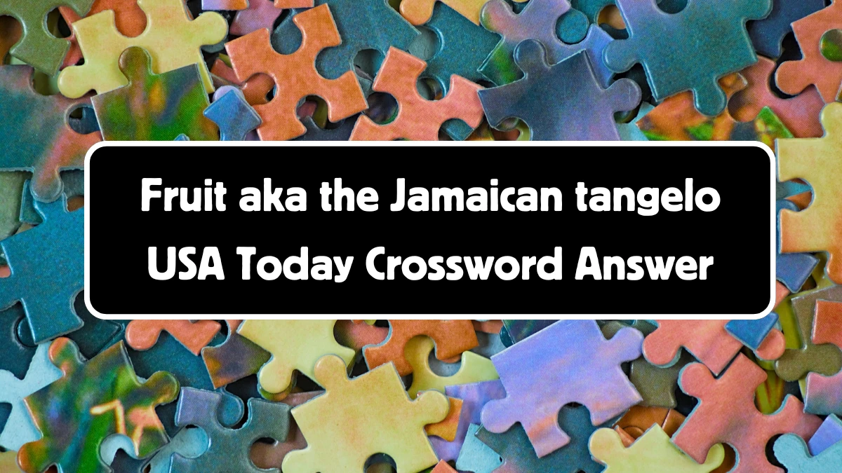 USA Today Fruit aka the Jamaican tangelo Crossword Clue Puzzle Answer ...