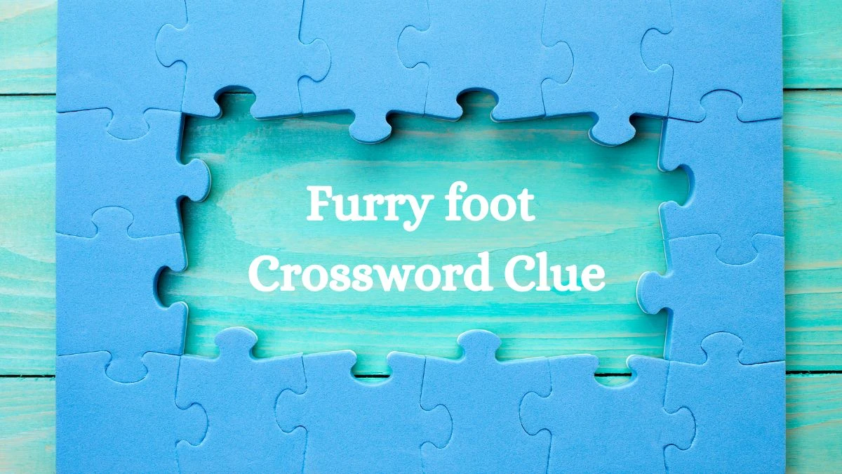 NYT Furry foot Crossword Clue Puzzle Answer from July 16, 2024