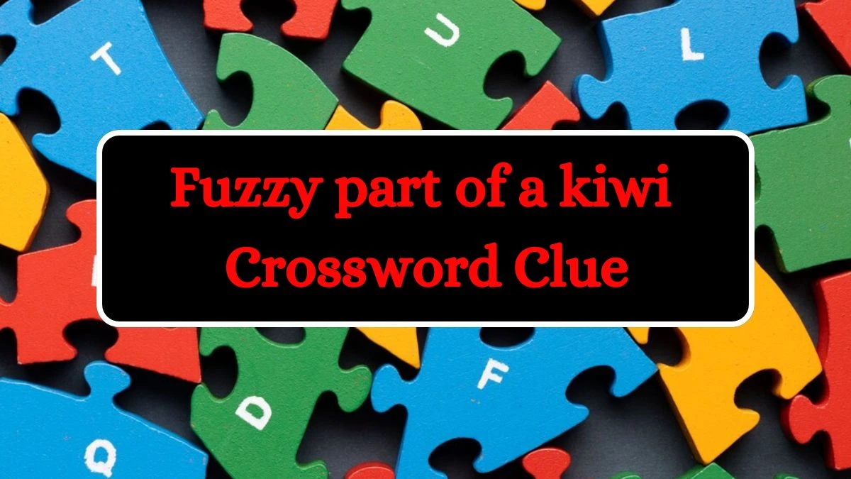 Fuzzy part of a kiwi NYT Crossword Clue Answer on July 08, 2024