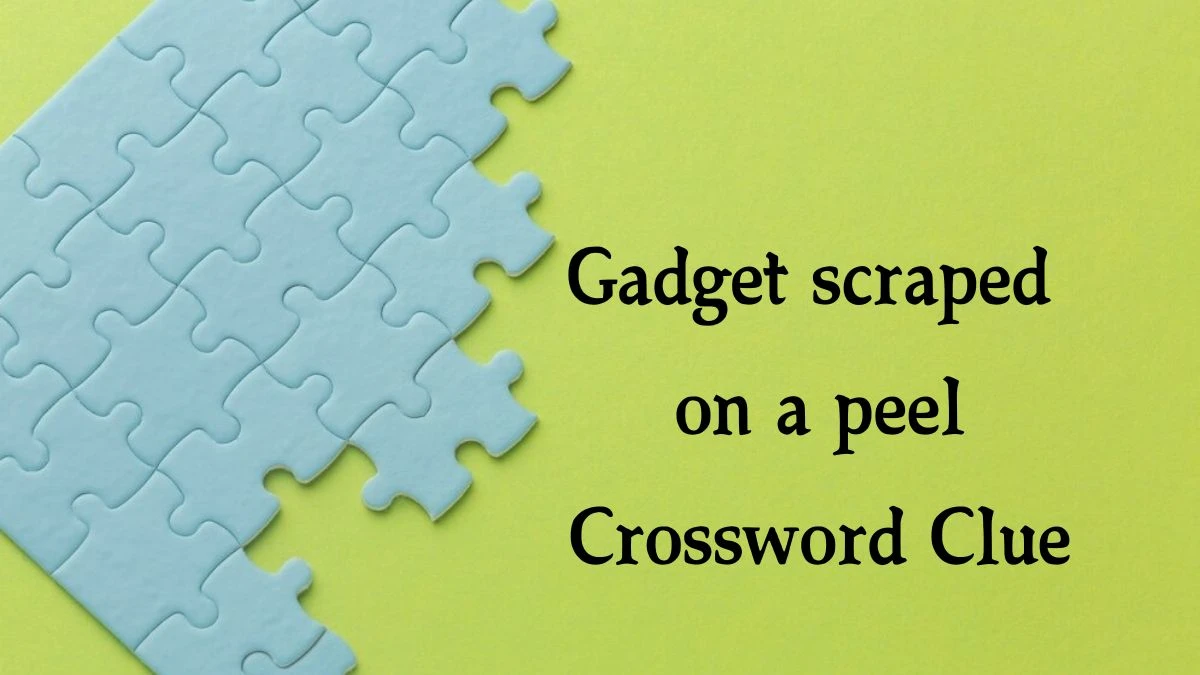 Gadget scraped on a peel Crossword Clue Puzzle Answer from July 30, 2024