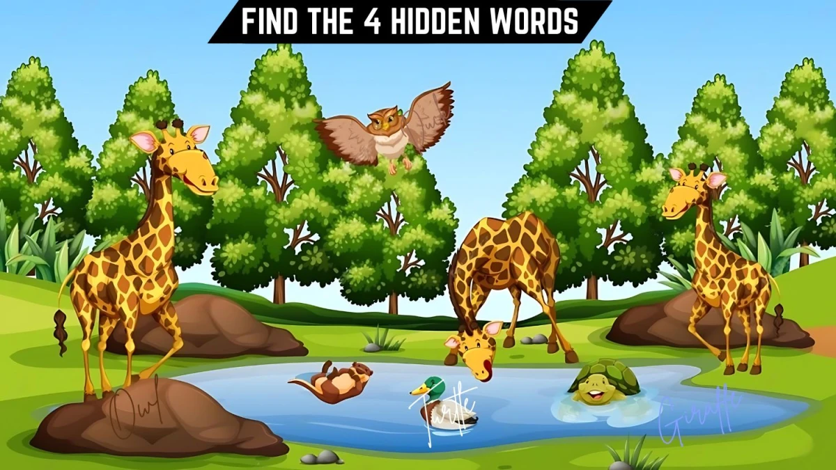 Genius IQ Test: Only 1 In 10 can Spot the 4 Hidden Words in this Forest Image in 8 Secs