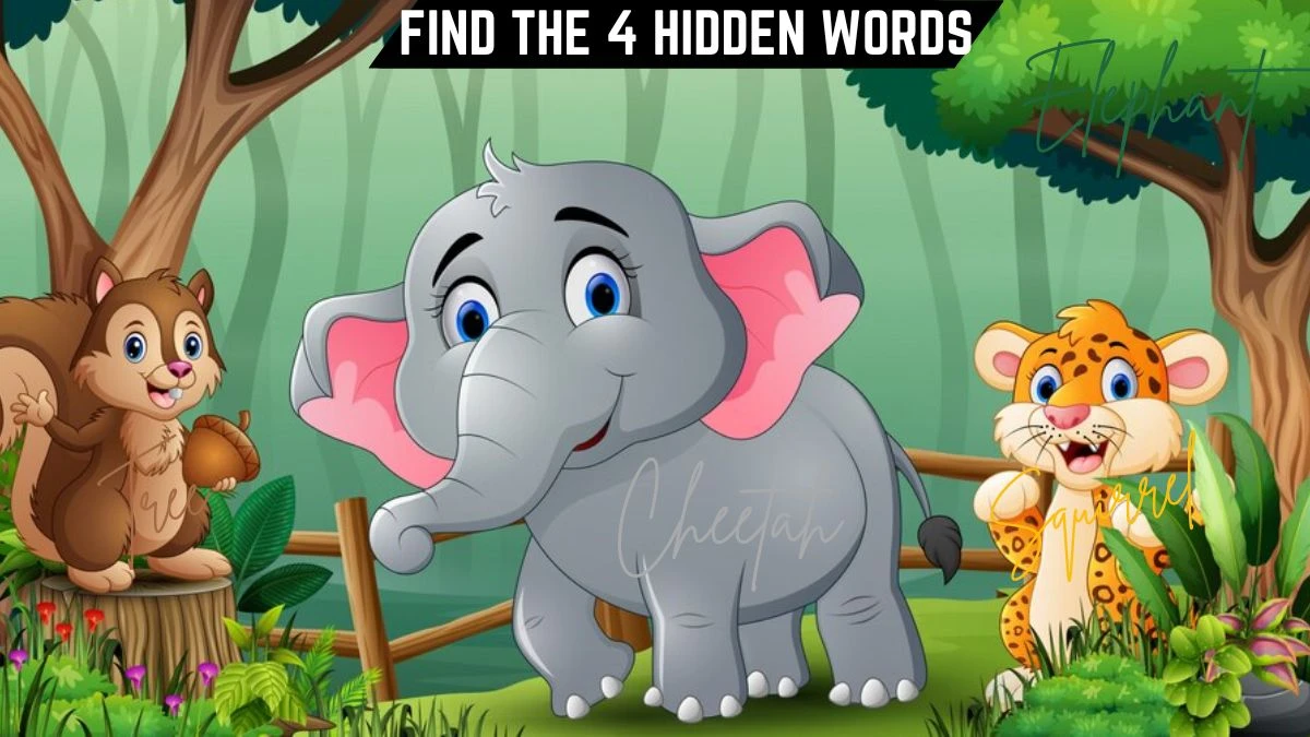 Genius IQ Test: Only 1 Out of 7 People Can Spot the 4 Hidden Words in this Forest Image in 9 Seconds