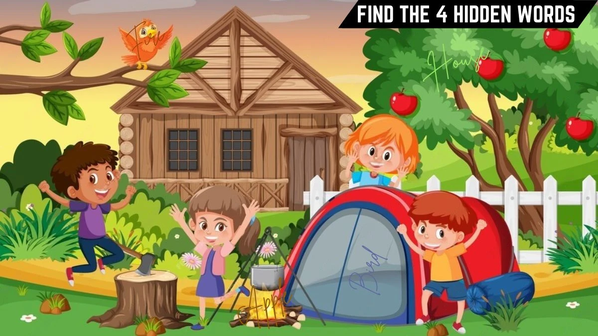 Genius IQ Test: Only 3 out of 10 Can Spot the 4 Hidden Words in this Camping Image in 8 Secs