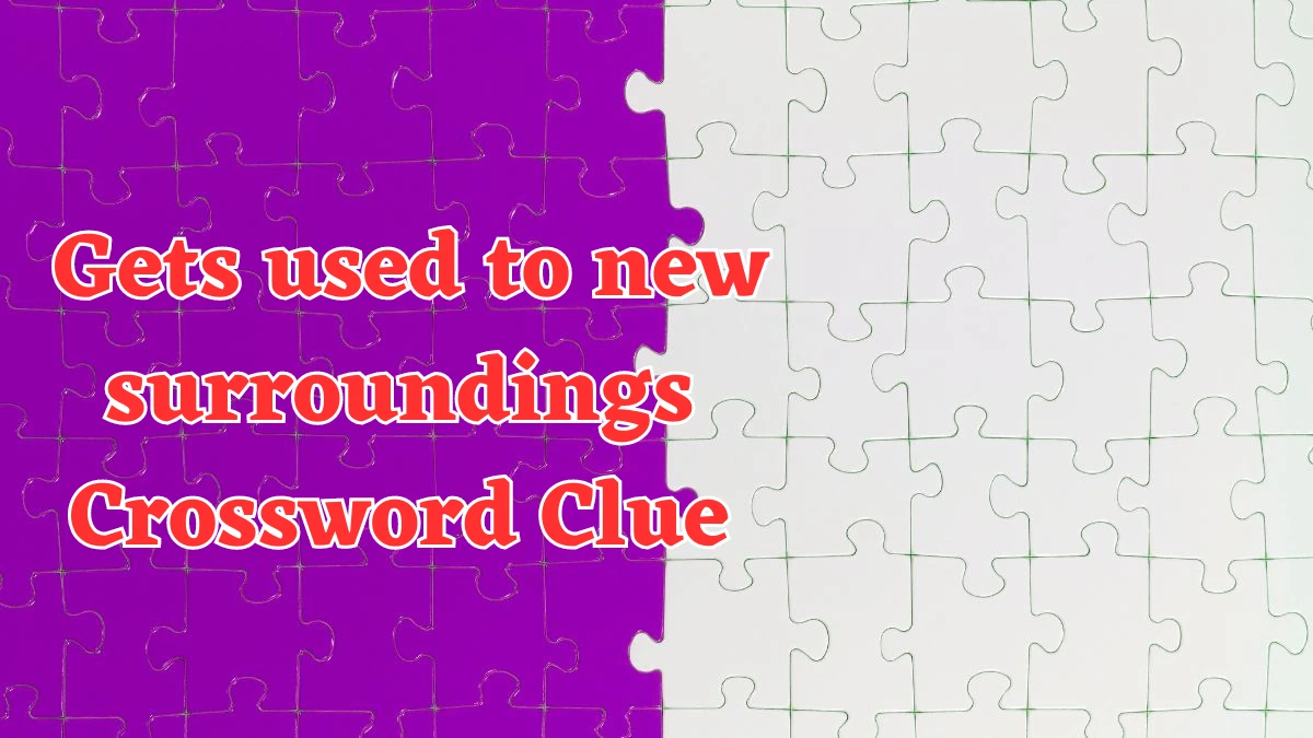 Gets used to new surroundings NYT Crossword Clue Puzzle Answer from July 31, 2024