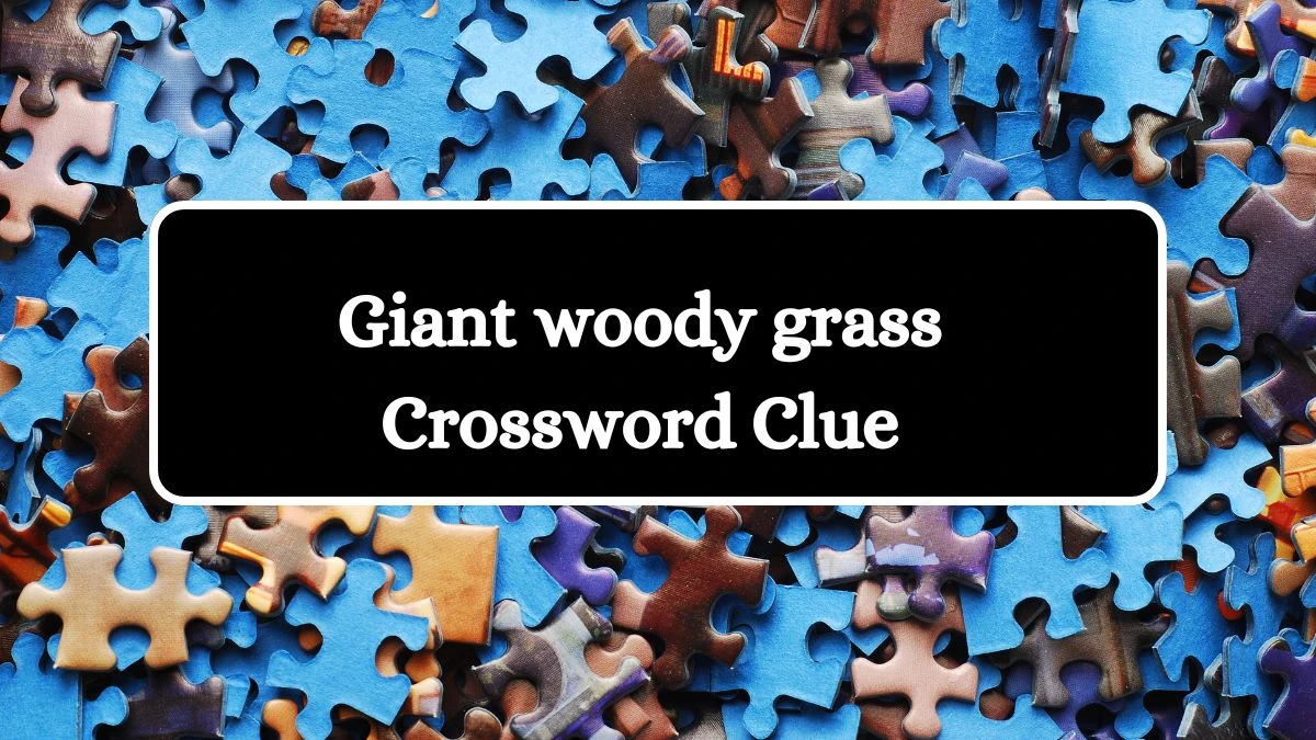 Giant woody grass Irish Daily Mail Quick Crossword Clue Puzzle Answer from July 04, 2024
