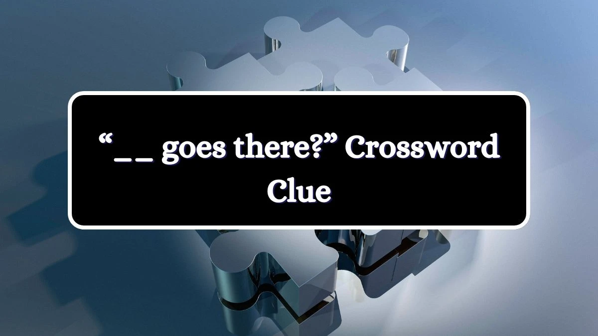 “__ goes there?” Daily Commuter Crossword Clue Puzzle Answer from July 03, 2024
