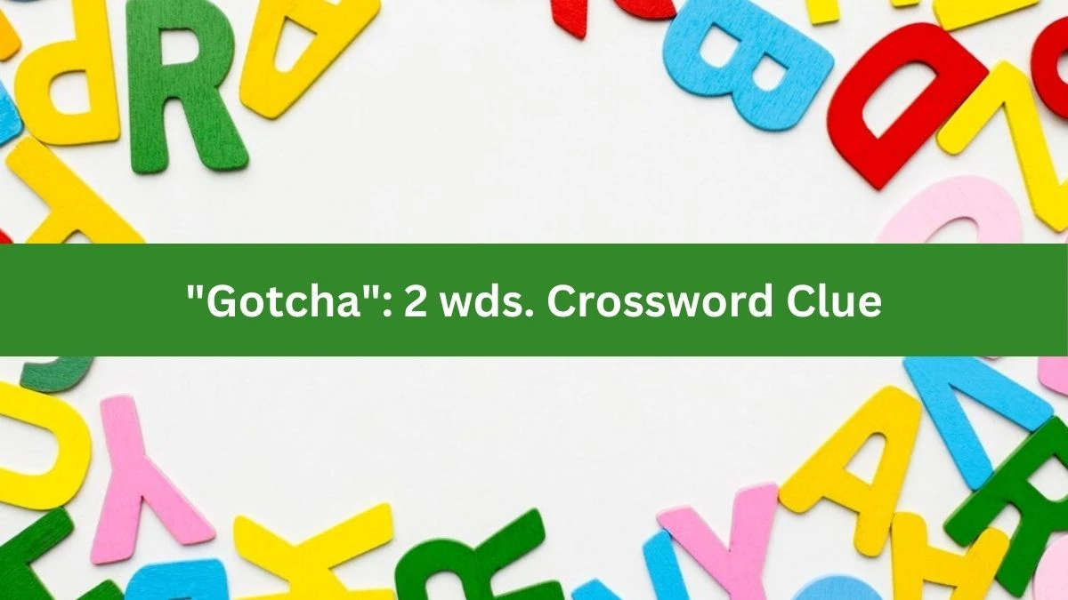 Gotcha: 2 wds. Daily Commuter Crossword Clue Puzzle Answer from July 08, 2024