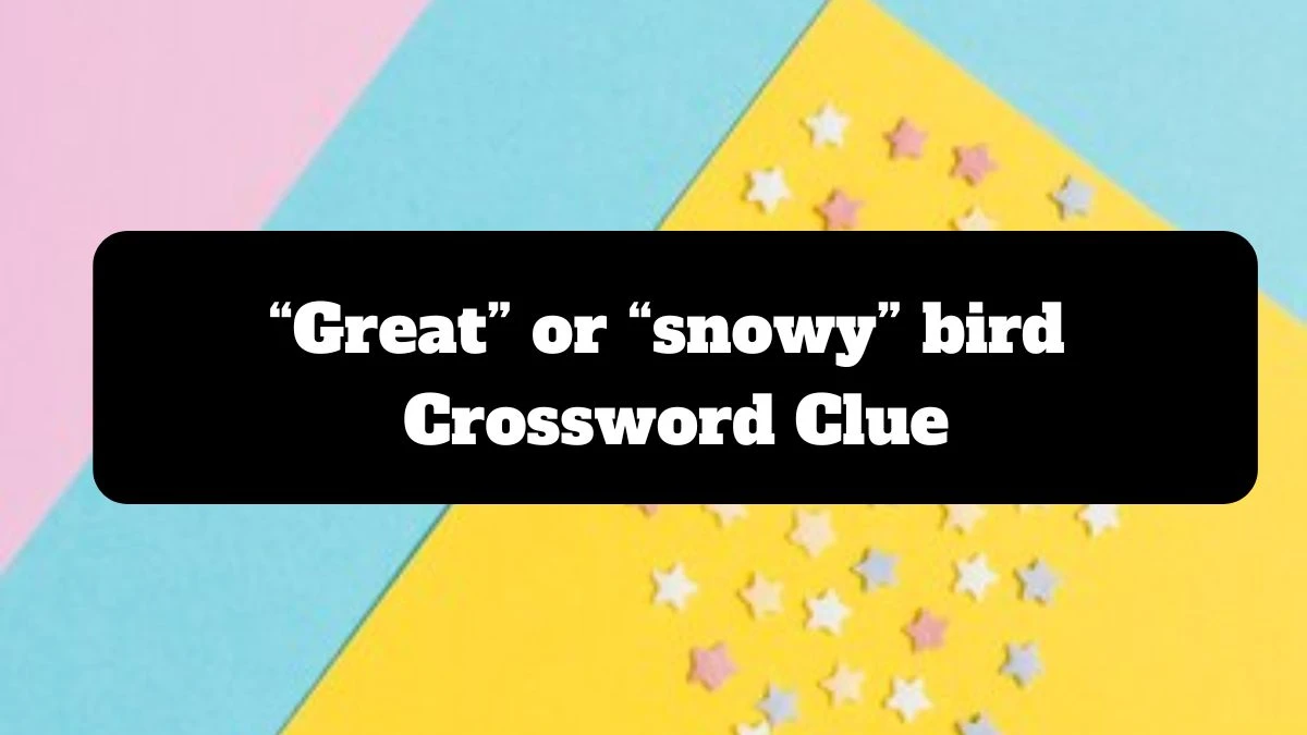 “Great” or “snowy” bird NYT Crossword Clue Puzzle Answer from July 14, 2024