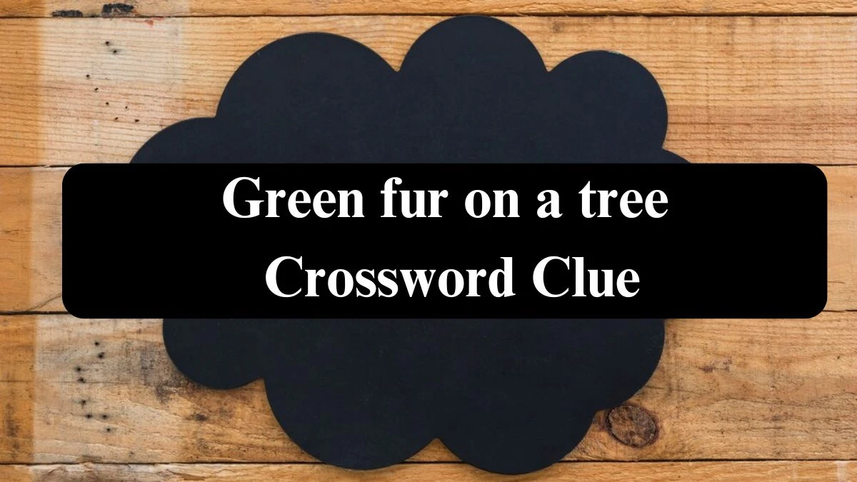 Daily Themed Green fur on a tree Crossword Clue Puzzle Answer from July 22, 2024