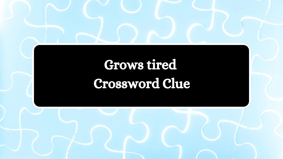 Grows tired Crossword Clue Answers on July 30, 2024