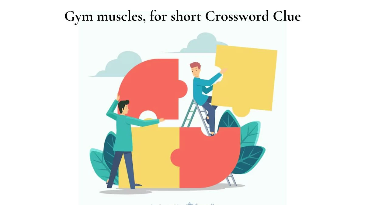 Gym muscles, for short Daily Themed Crossword Clue Puzzle Answer from July 13, 2024