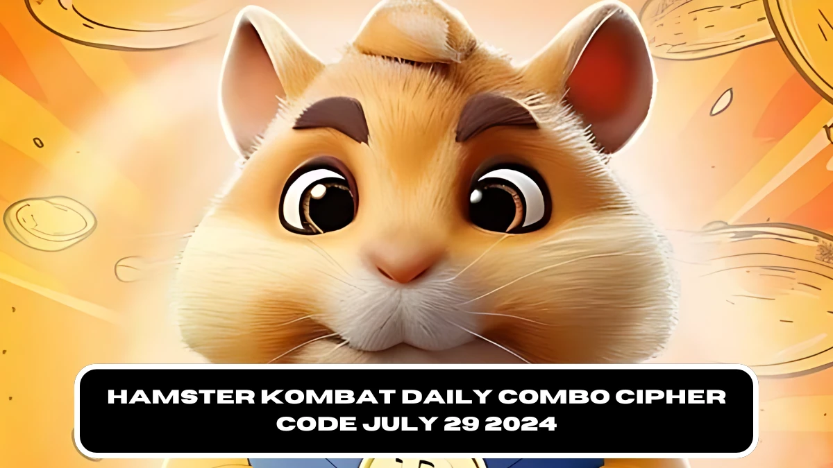 Hamster Kombat Daily Combo Cipher Code July 29 2024