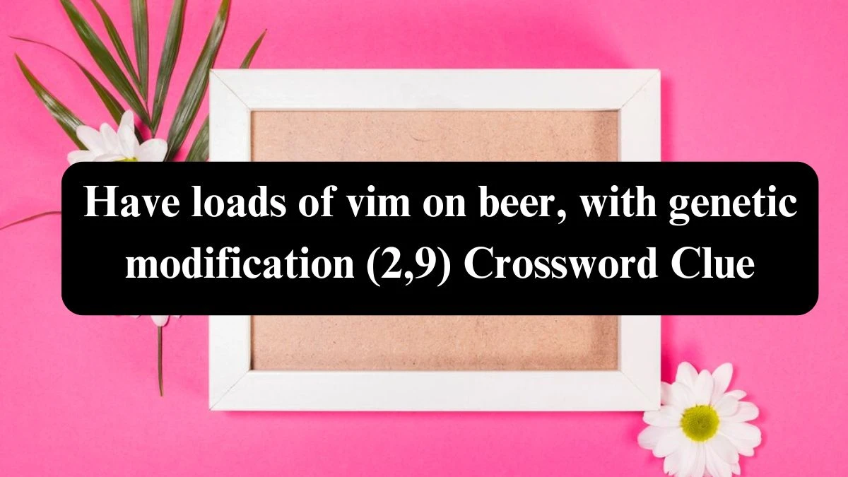 Have loads of vim on beer, with genetic modification (2,9) Crossword Clue Puzzle Answer from July 29, 2024