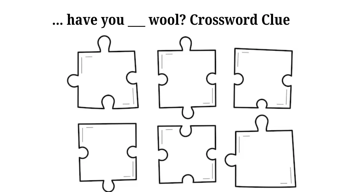 ... have you ___ wool? Daily Themed Crossword Clue Puzzle Answer from July 25, 2024