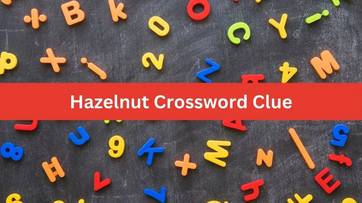 Hazelnut LA Times Crossword Clue Puzzle Answer from July 13, 2024