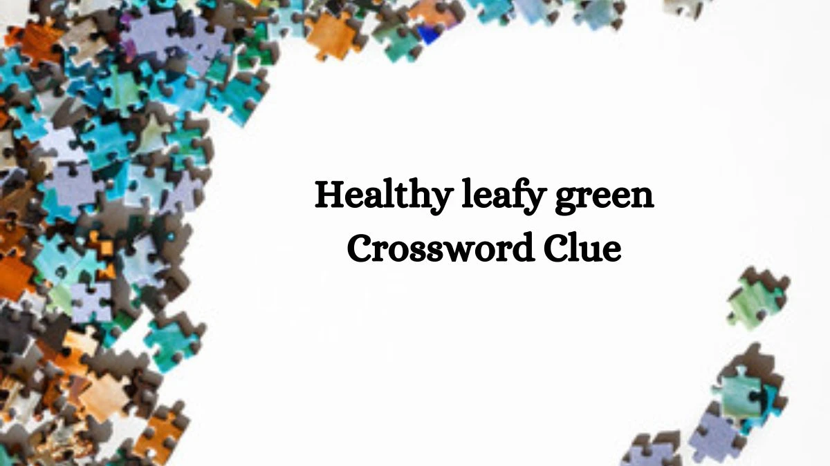 Daily Themed Healthy leafy green Crossword Clue Puzzle Answer from July 13, 2024