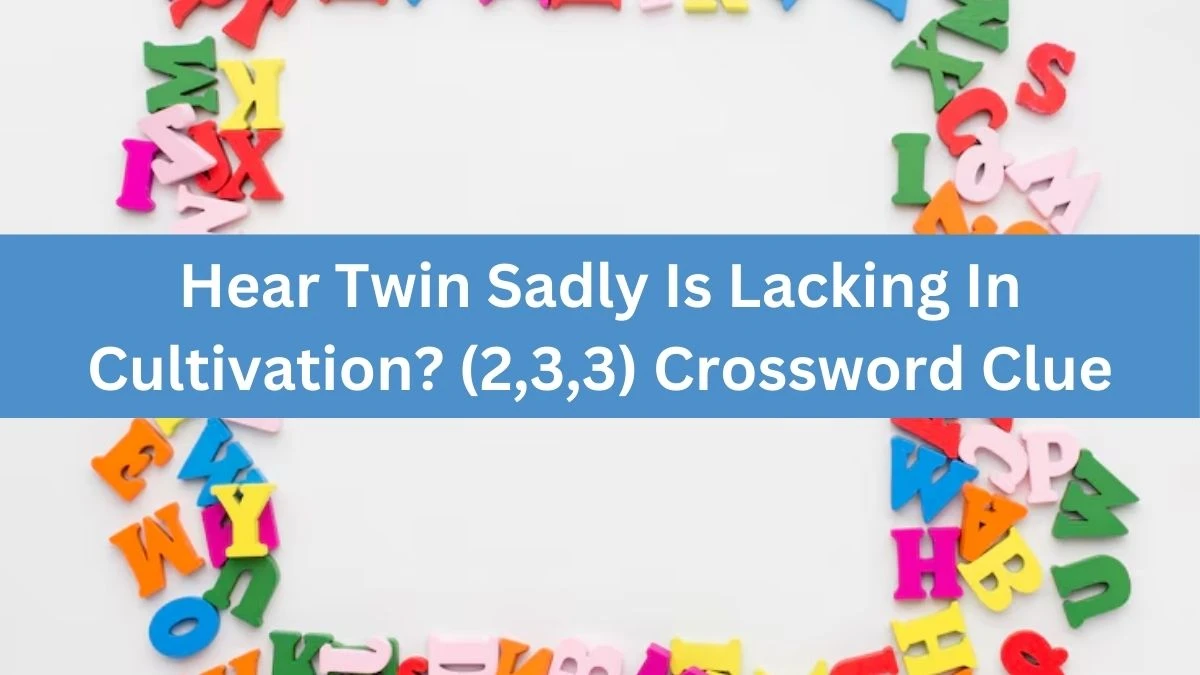 Hear Twin Sadly Is Lacking In Cultivation? (2,3,3) Crossword Clue Puzzle Answer from July 20, 2024