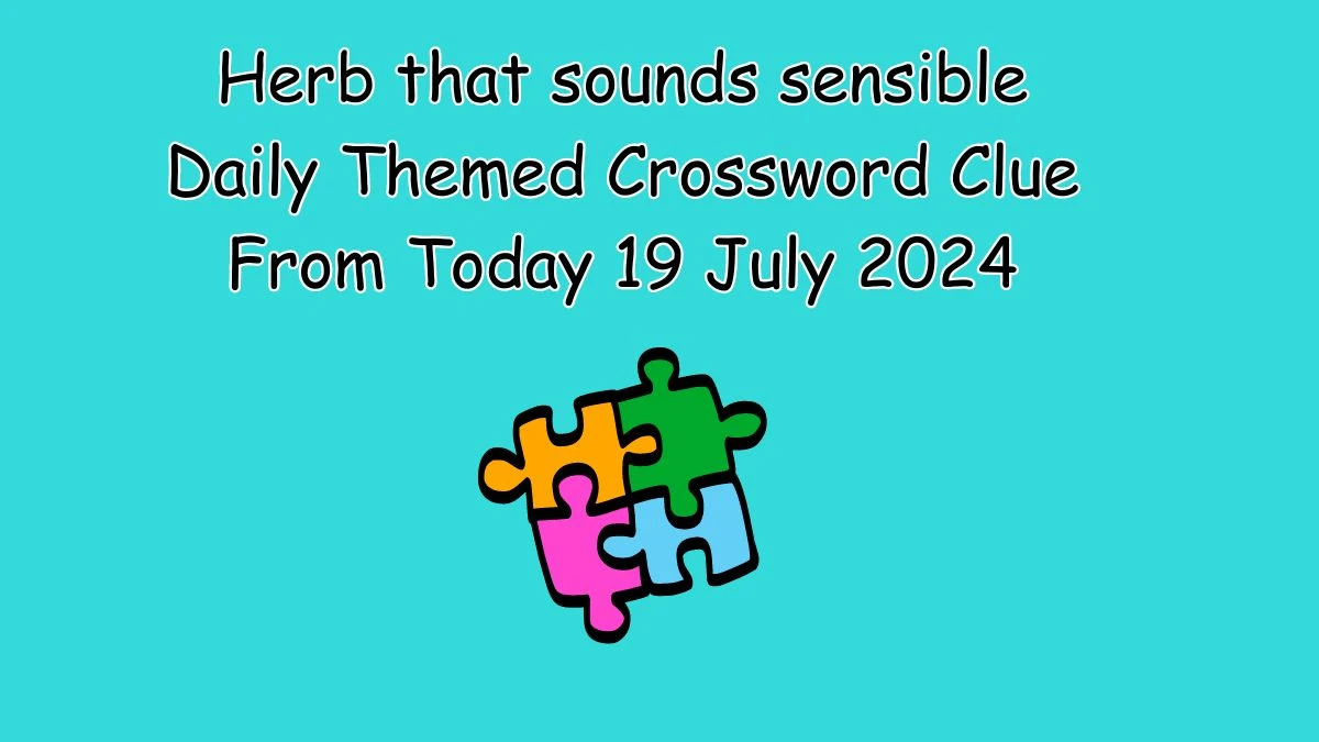 Herb that sounds sensible Daily Themed Crossword Clue Answers on July 19, 2024