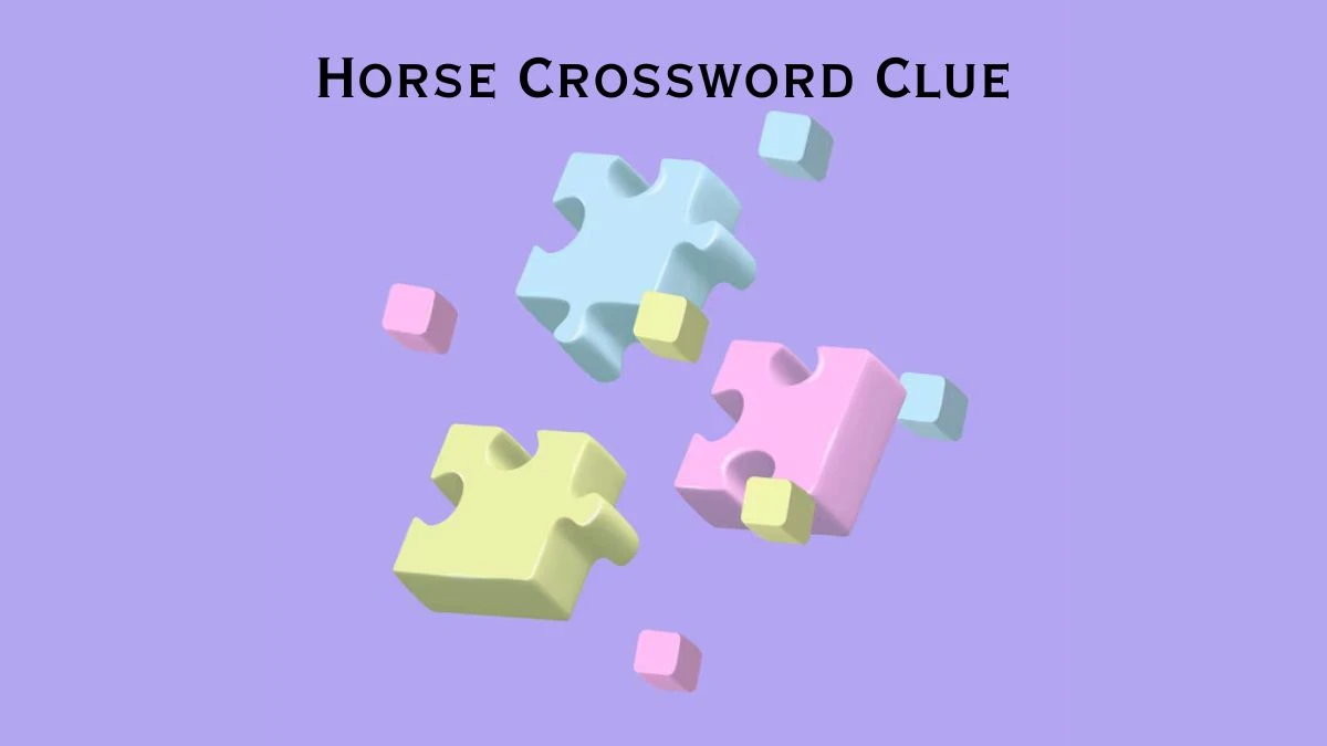 Irish Daily Mail Quick Horse Crossword Clue 3 Letters Puzzle Answers from July 16, 2024