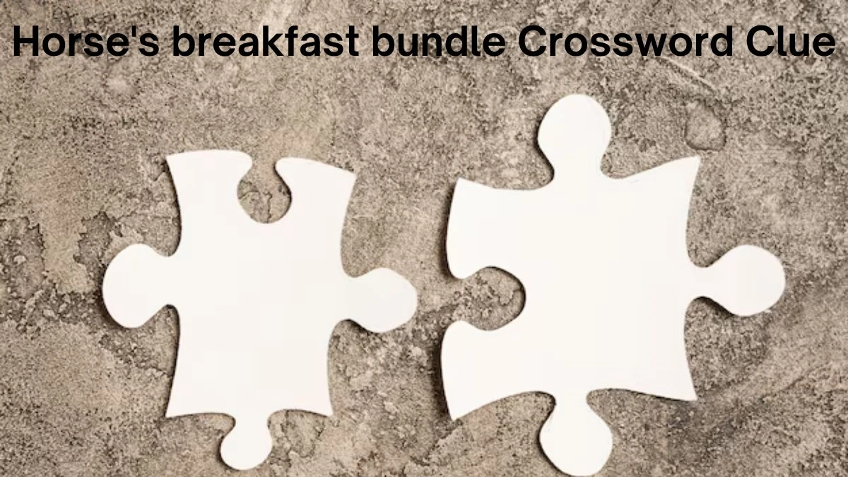 Horse's breakfast bundle Daily Themed Crossword Clue Puzzle Answer from July 24, 2024