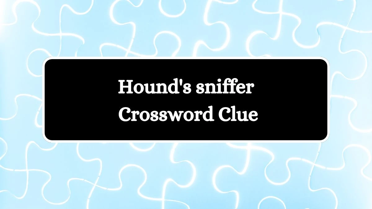 Hound's sniffer Crossword Clue Puzzle Answer from July 31, 2024