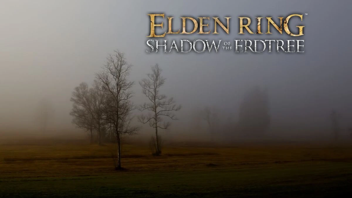 How to Get to the Hinterlands in Elden Ring? How to Unlock the Entrance to the Hinterlands Using the O Mother Gesture?