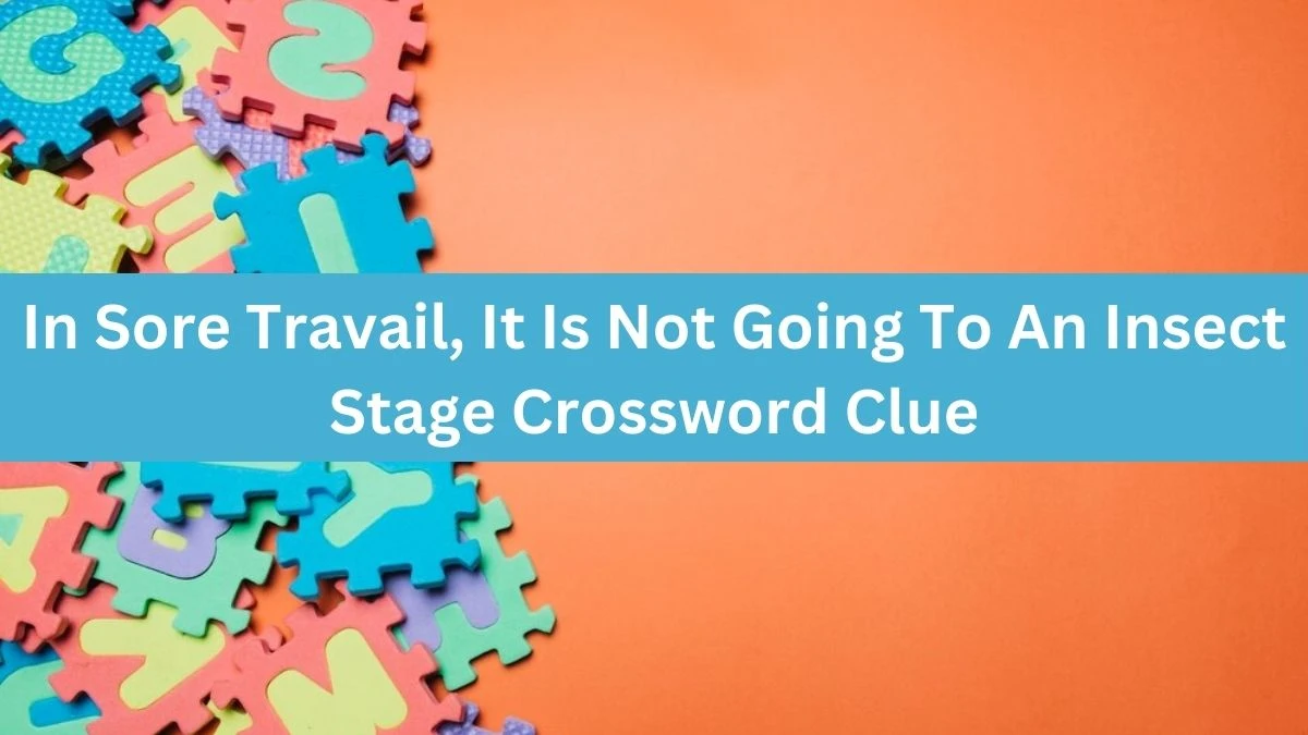 In Sore Travail, It Is Not Going To An Insect Stage Crossword Clue Answers on July 20, 2024