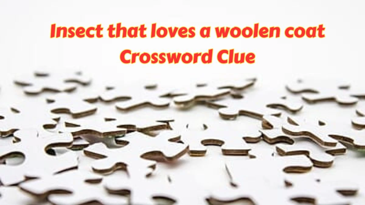 Insect that loves a woolen coat Daily Themed Crossword Clue Puzzle Answer from July 11, 2024