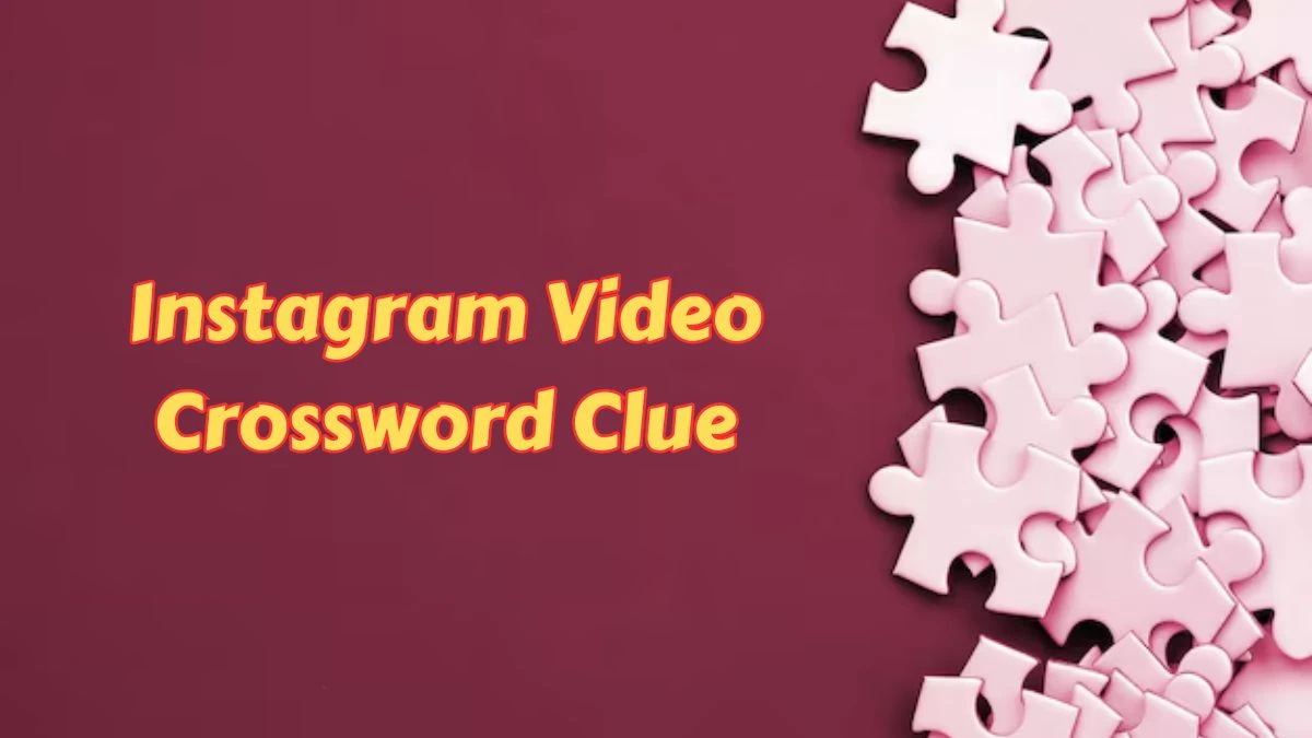 LA Times Instagram Video Crossword Puzzle Answer from July 11, 2024