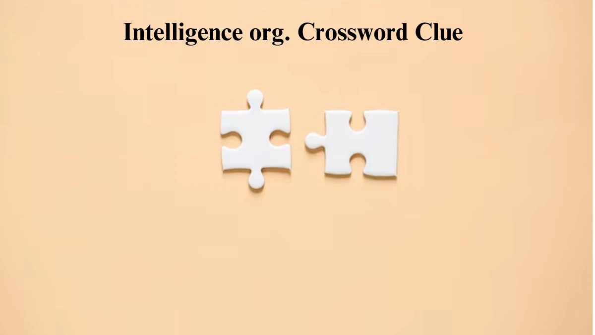 USA Today Intelligence org. Crossword Clue Puzzle Answer from July 20, 2024