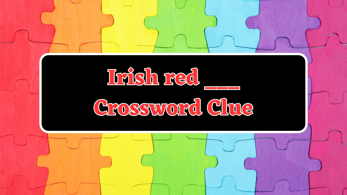 USA Today Irish red ___ Crossword Clue Puzzle Answer from July 31, 2024