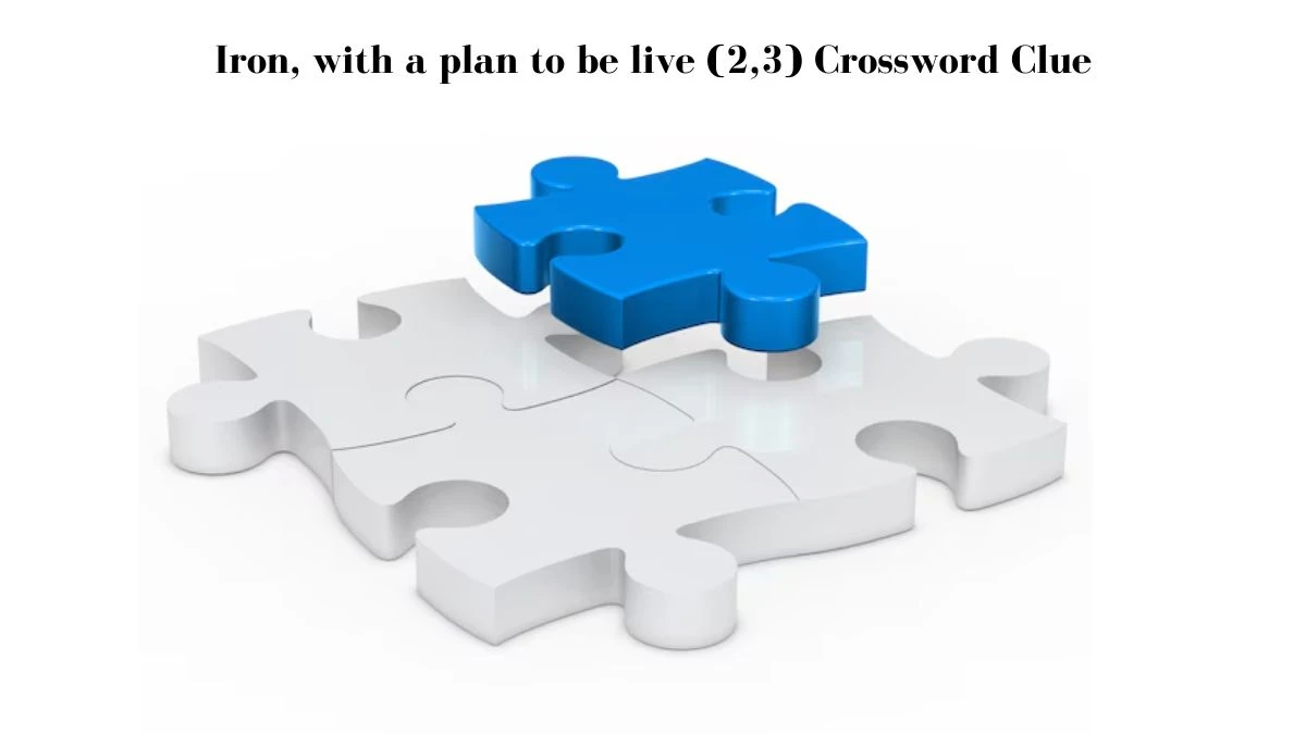 Iron, with a plan to be live (2,3) Crossword Clue Puzzle Answer from July 29, 2024