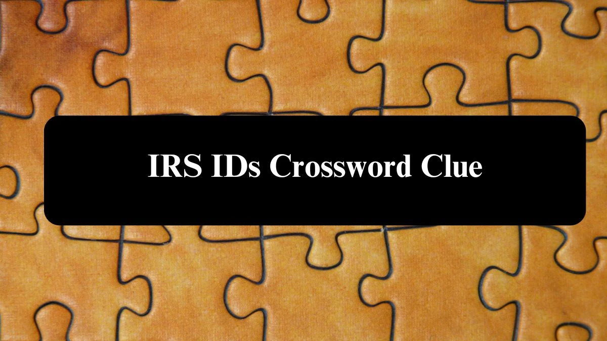 LA Times IRS IDs Crossword Clue Puzzle Answer from July 26, 2024