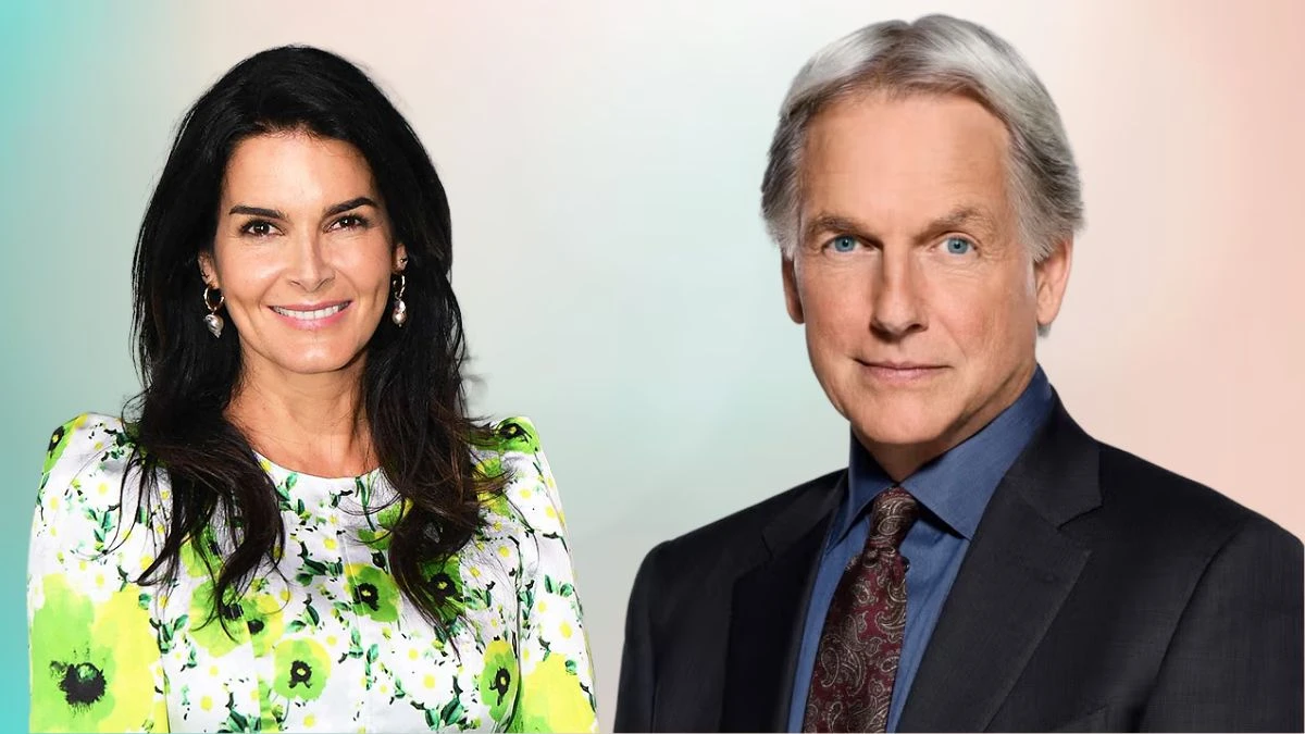 Is Angie Harmon Related to Mark Harmon? Who are They?