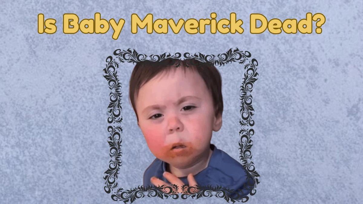 Is Baby Maverick Dead? Debunking the Rumors - News