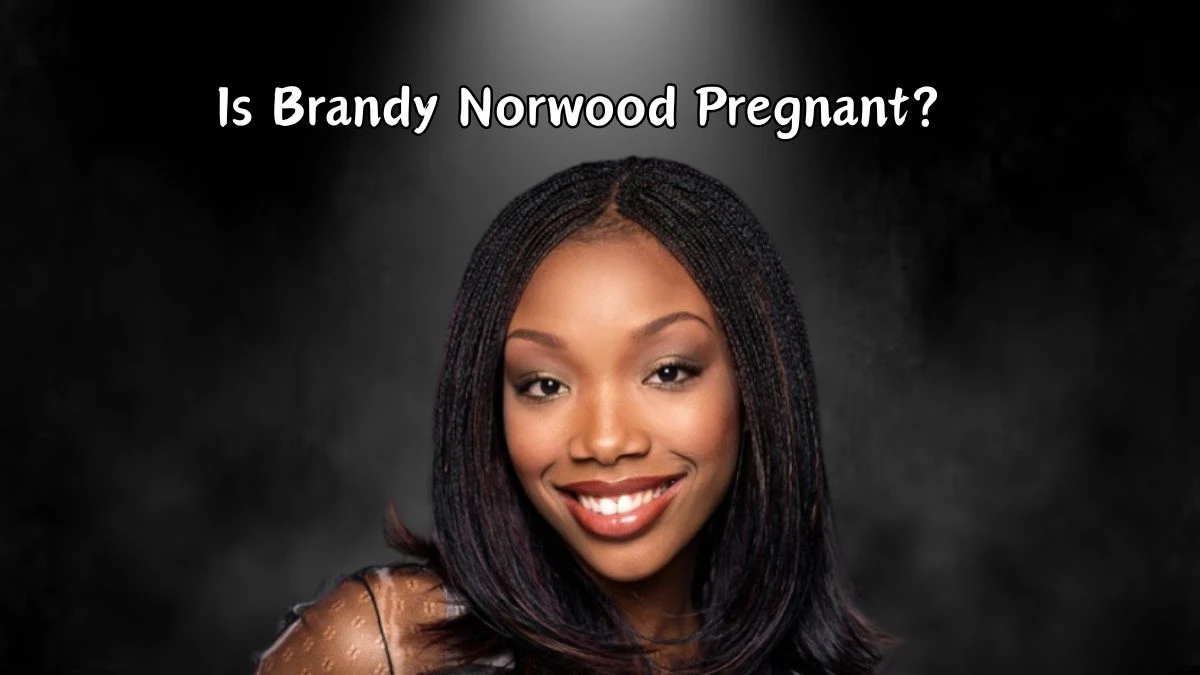 Is Brandy Norwood Pregnant? Who is Brandy Rayana?