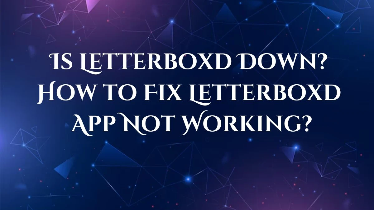 Is Letterboxd Down? How to Fix Letterboxd App Not Working?