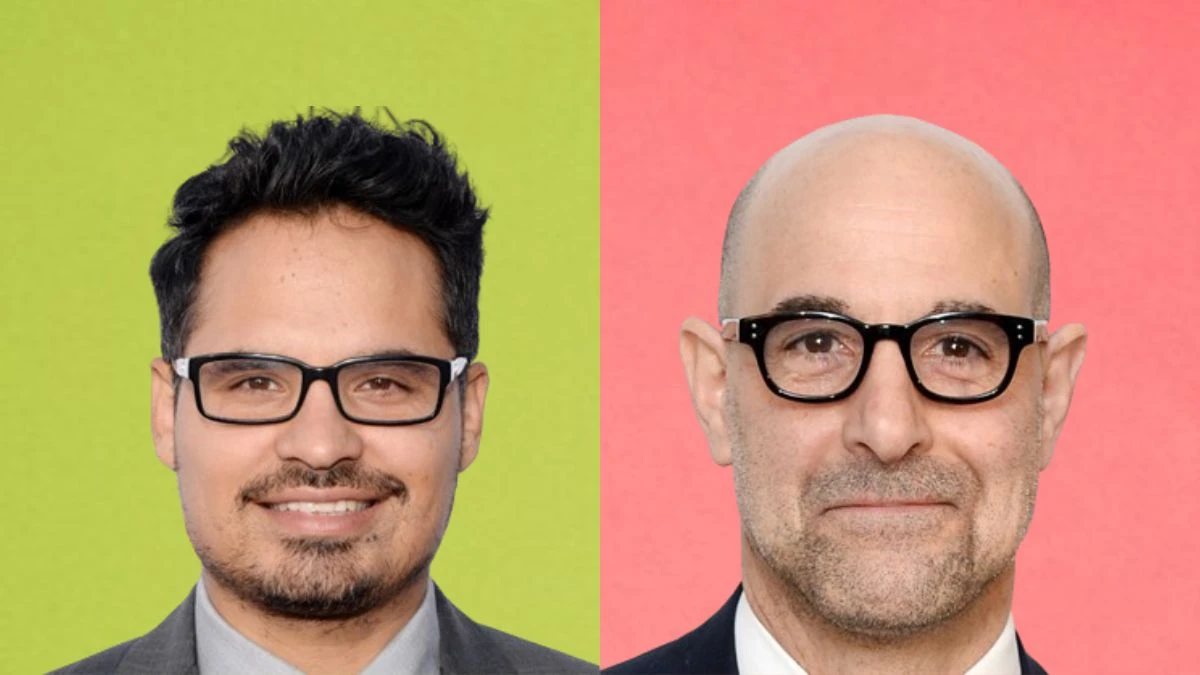 Is Michael Tucci Related to Stanley Tucci? Who Are Michael Tuccy and Stanley Tucci?