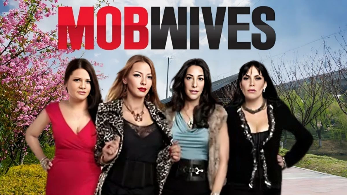 Is Mob Wives Coming Back? Why Did Mob Wives End?