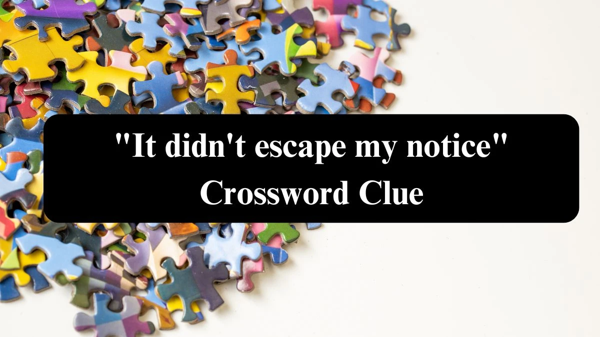 It didn't escape my notice Crossword Clue Puzzle Answer from July 30, 2024