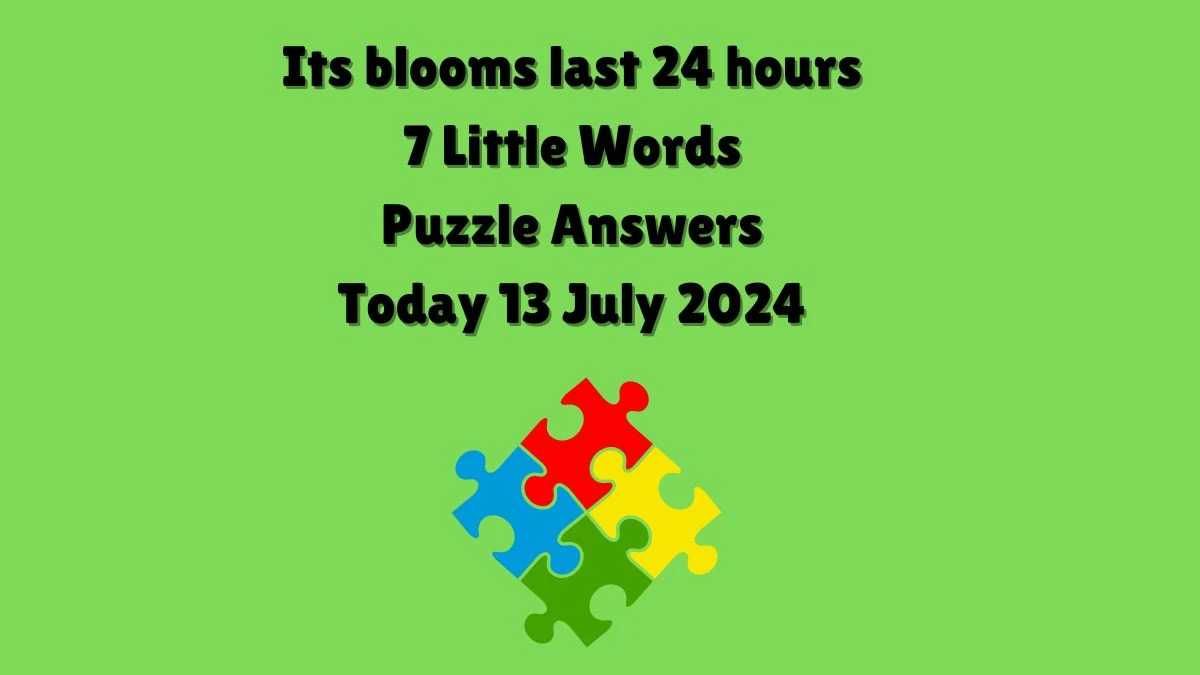 Its blooms last 24 hours 7 Little Words Puzzle Answer from July 13, 2024