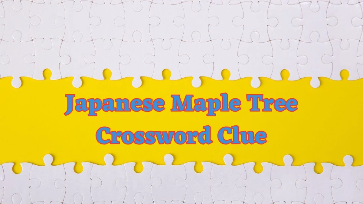 Japanese Maple Tree Irish Daily Mail Quick Crossword Clue Puzzle Answer from July 03, 2024
